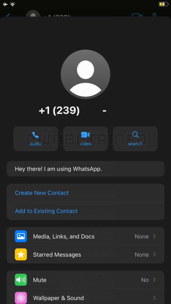 WhatsApp Contact Info Page in Developing Stage