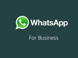WhatsApp Business is Testing Advanced Search Feature